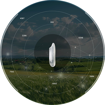 Grain Process Animation